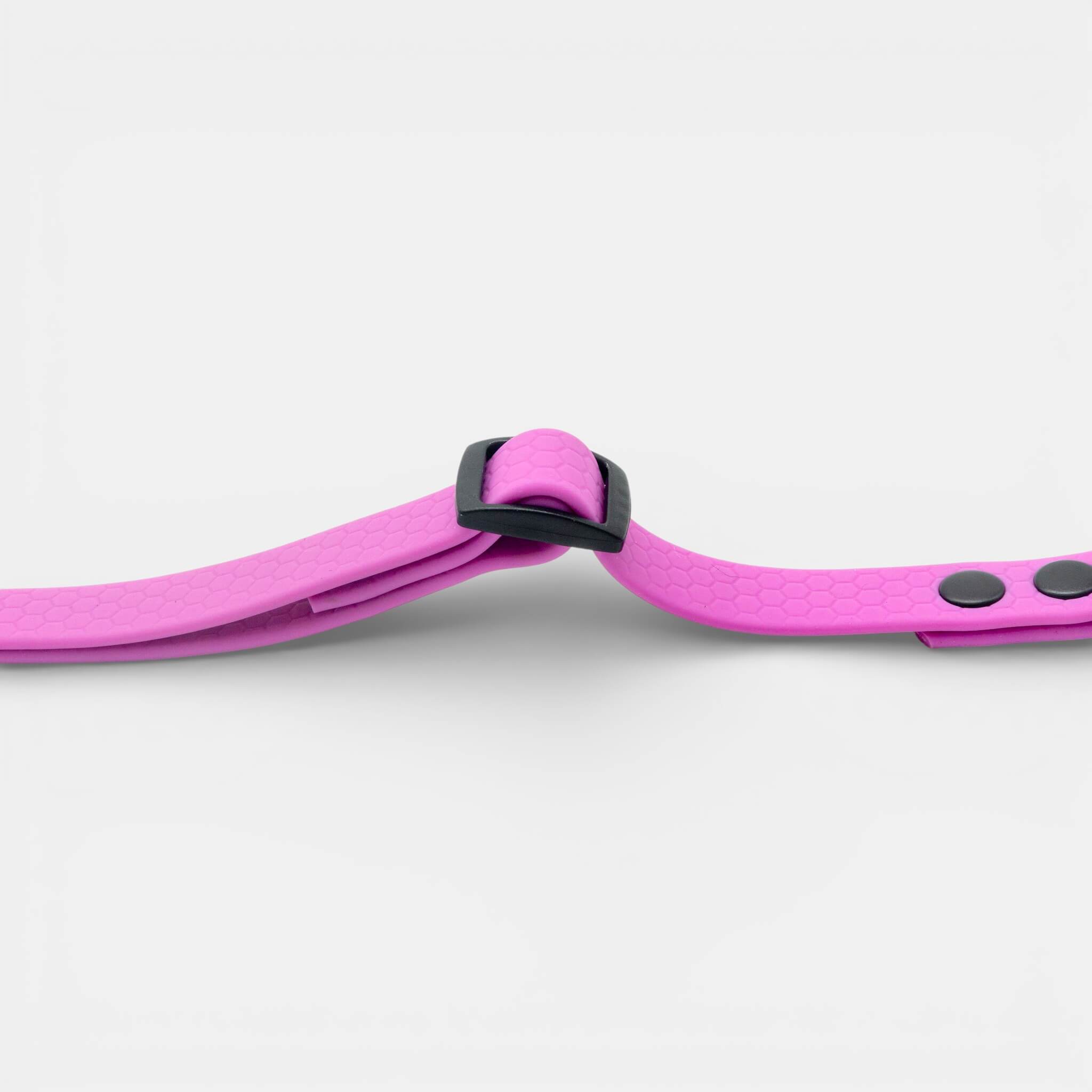 Koera turvavöö autosse – Roosa