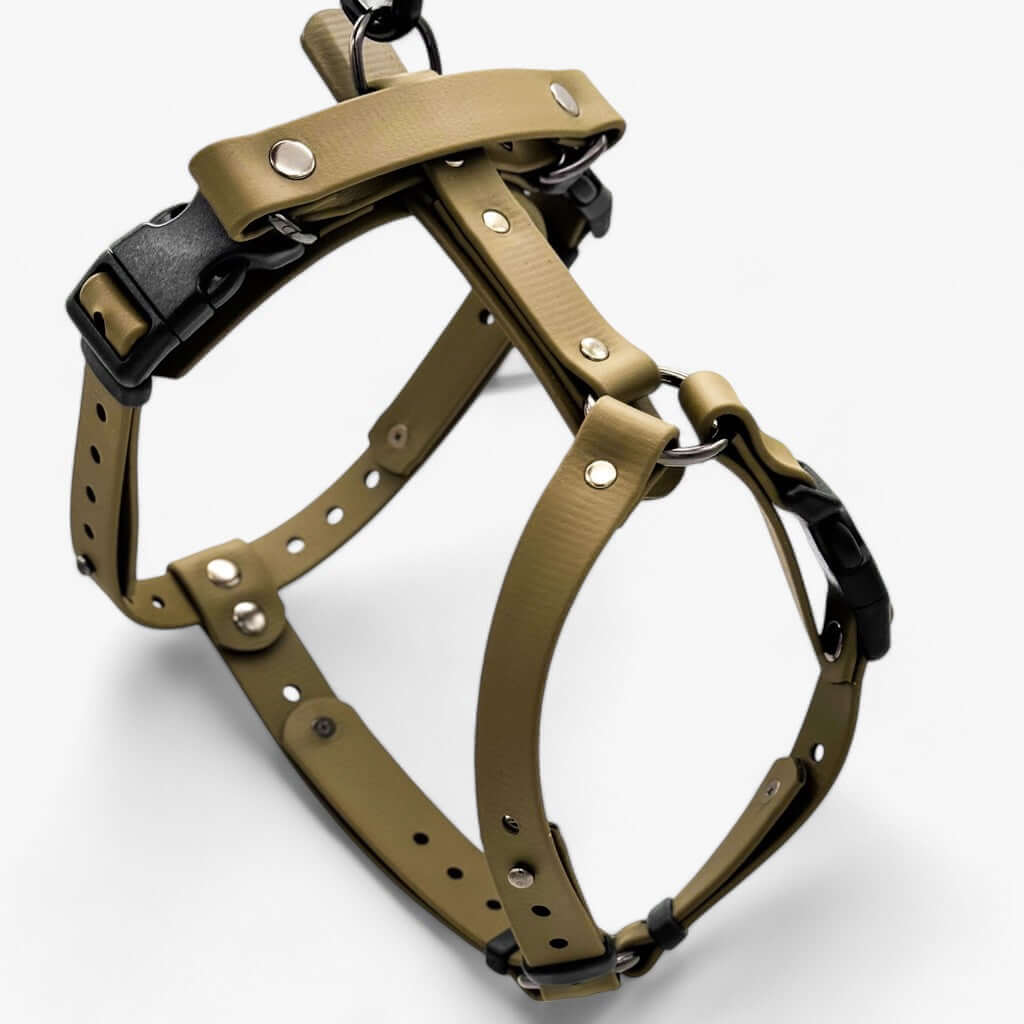 Canine Quest — anatoomilise disainiga Biothane koeratraksid