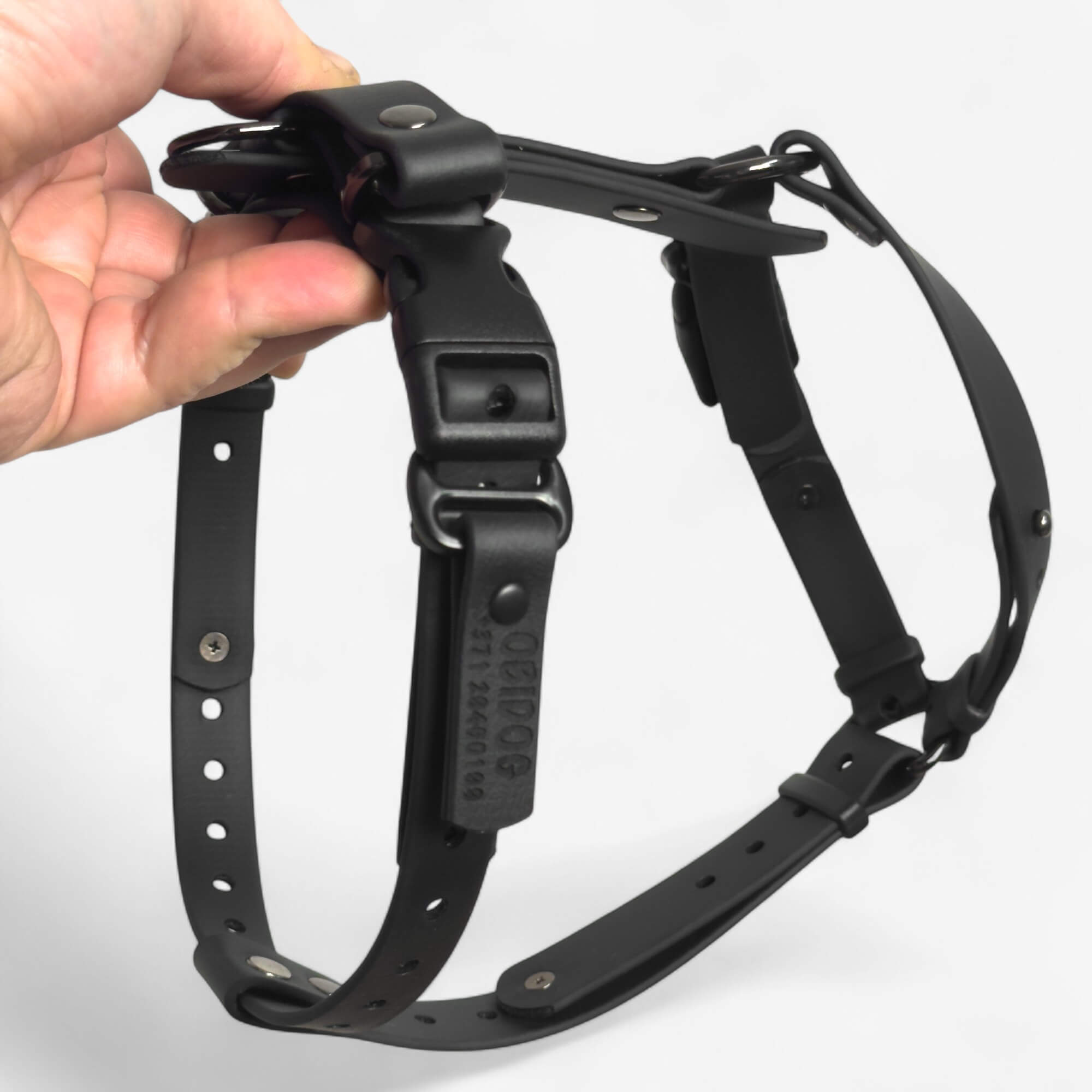 Canine Quest - biothane anatomiski pareizi iemaukti suņiem