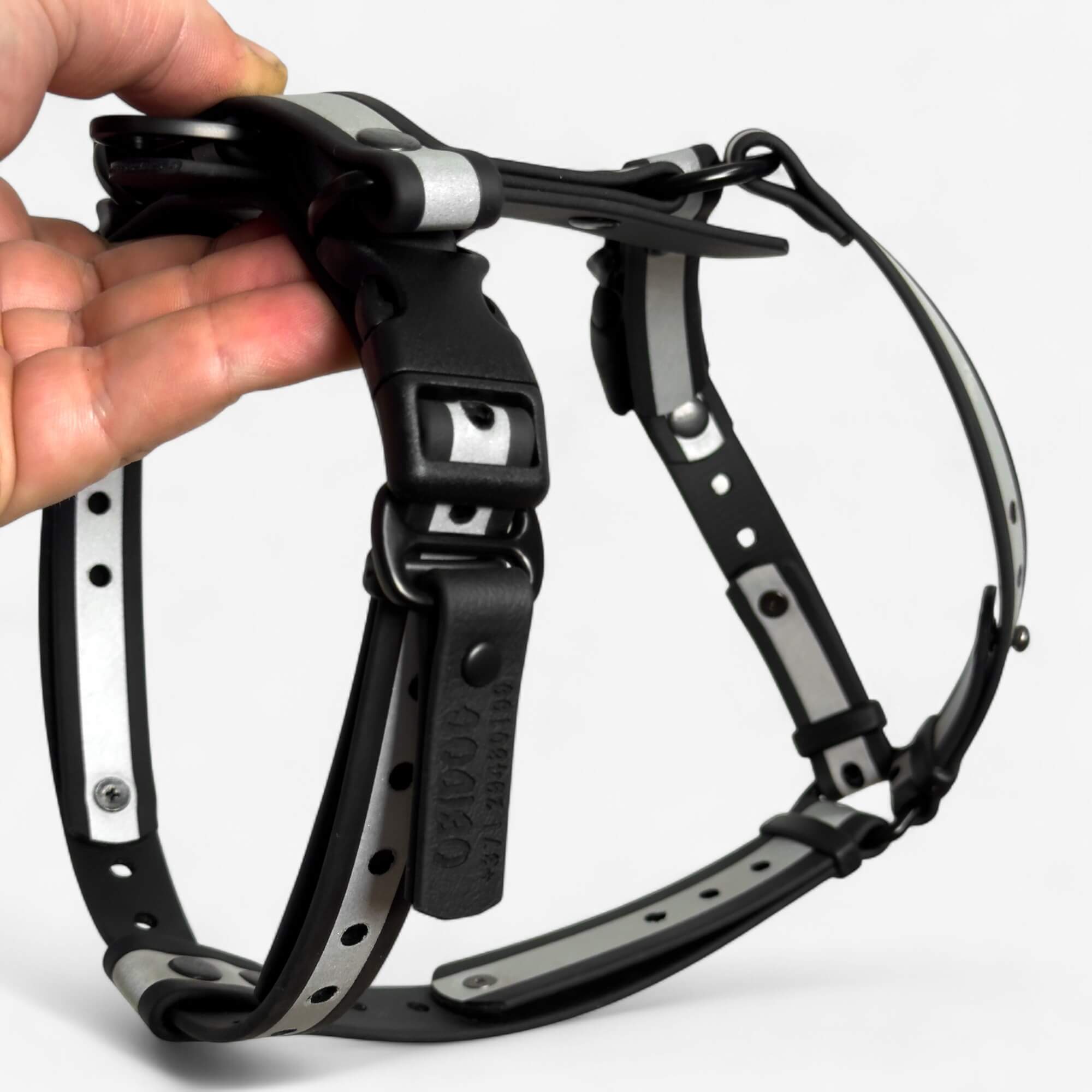 Canine Quest - biothane anatomiski pareizi iemaukti suņiem