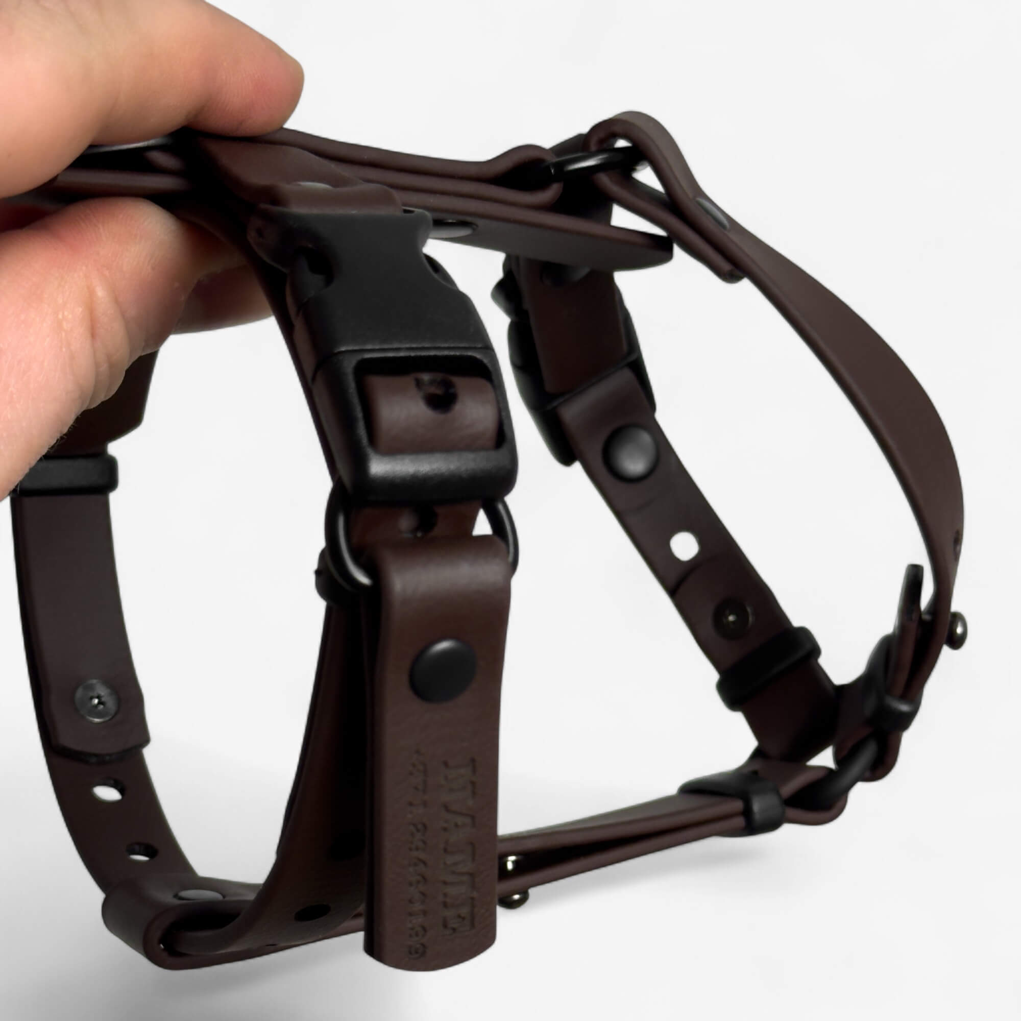 Canine Quest - biothane anatomiski pareizi iemaukti suņiem