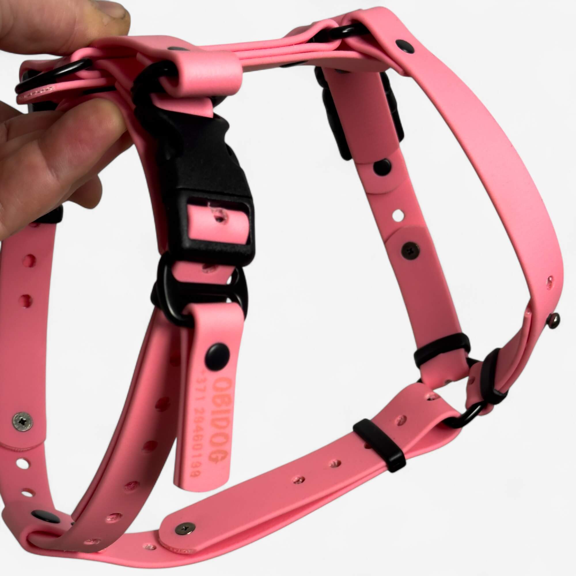 Canine Quest - biothane anatomiski pareizi iemaukti suņiem