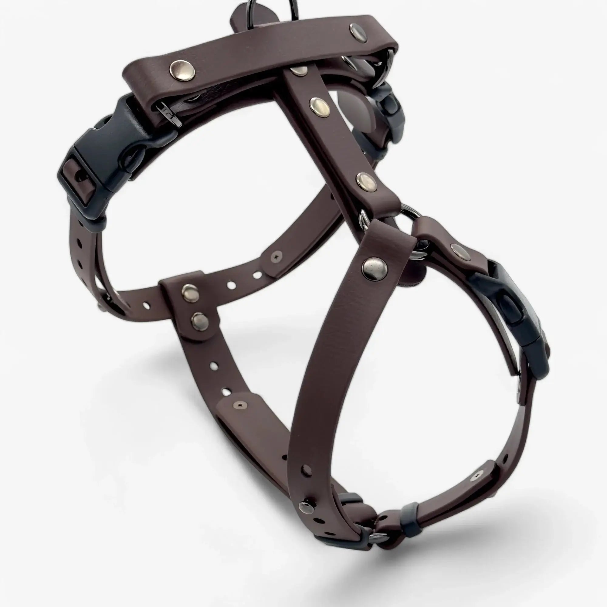 Canine Quest - biothane anatomiski pareizi iemaukti suņiem