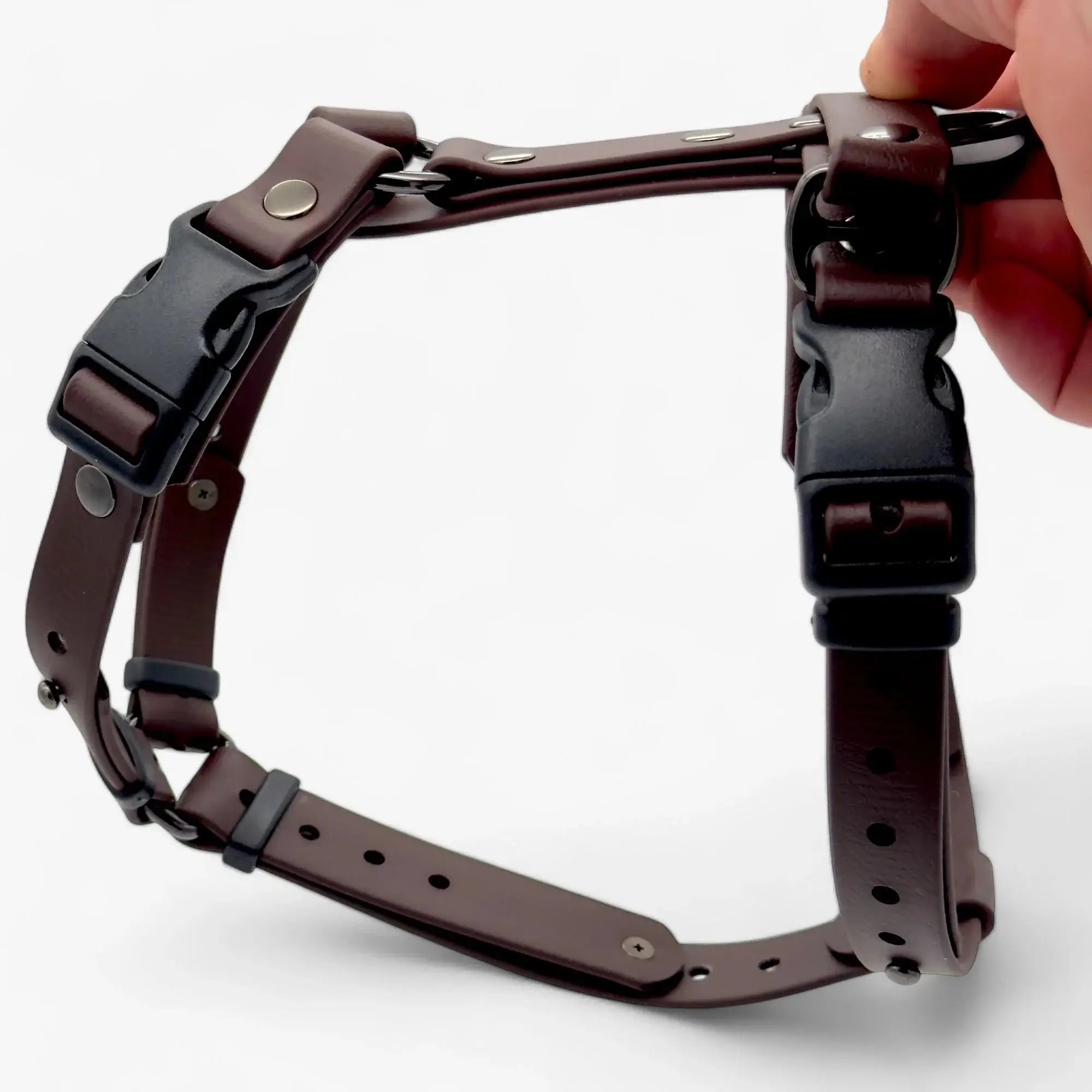 Canine Quest - biothane anatomiski pareizi iemaukti suņiem