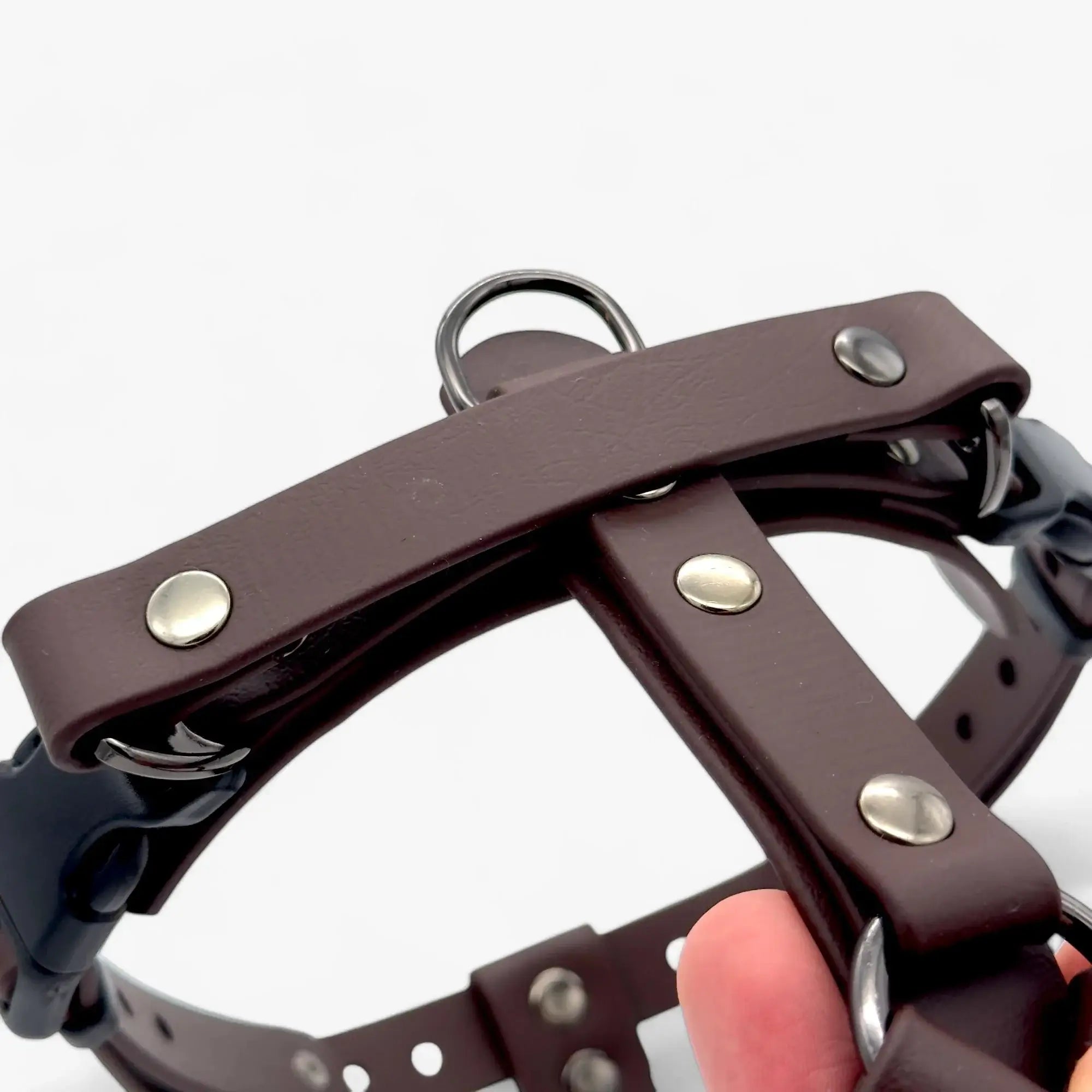 Canine Quest - biothane anatomiski pareizi iemaukti suņiem