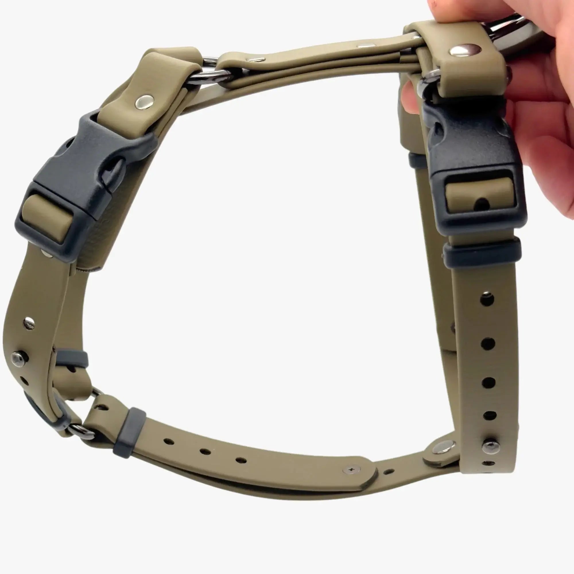 Canine Quest — anatoomilise disainiga Biothane koeratraksid