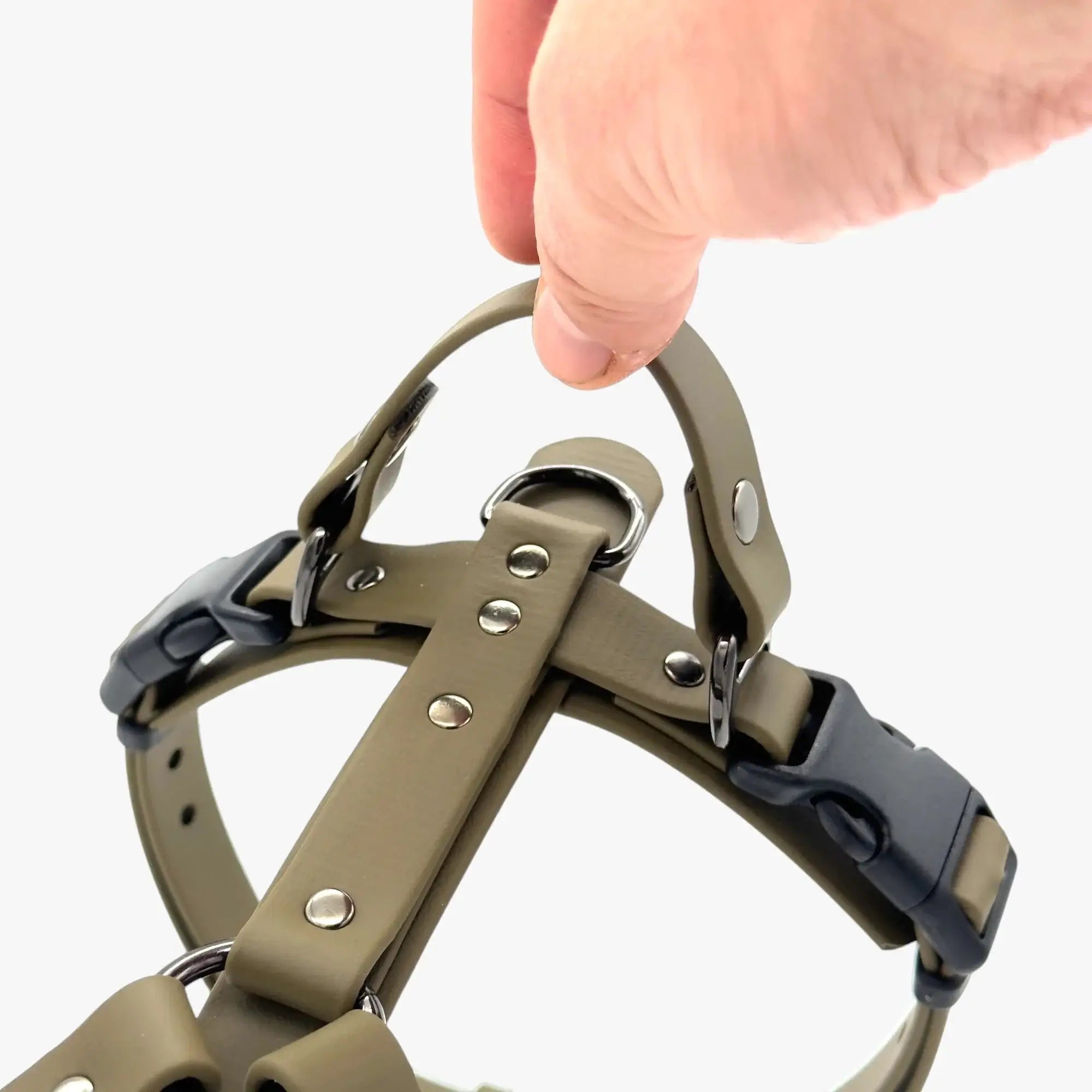 Canine Quest - biothane anatomiski pareizi iemaukti suņiem