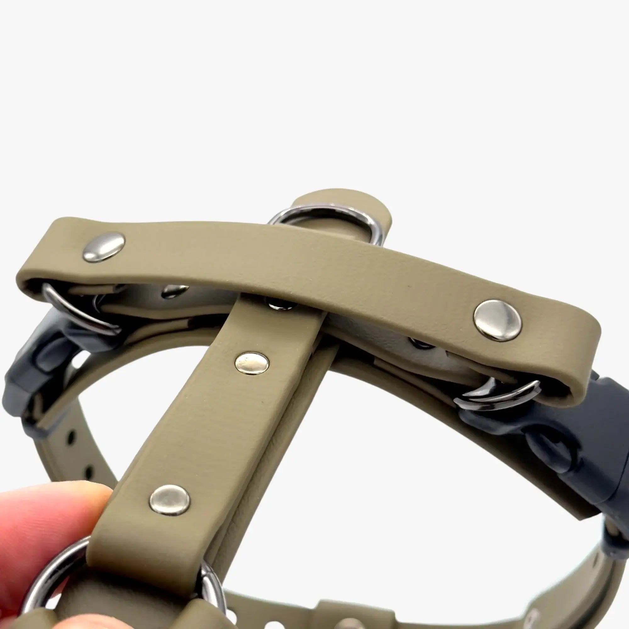 Canine Quest — anatoomilise disainiga Biothane koeratraksid