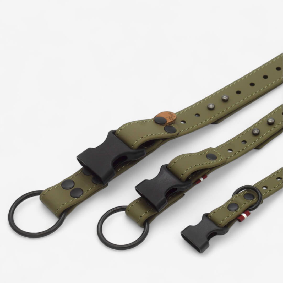 Biotaani kaelarihm koertele