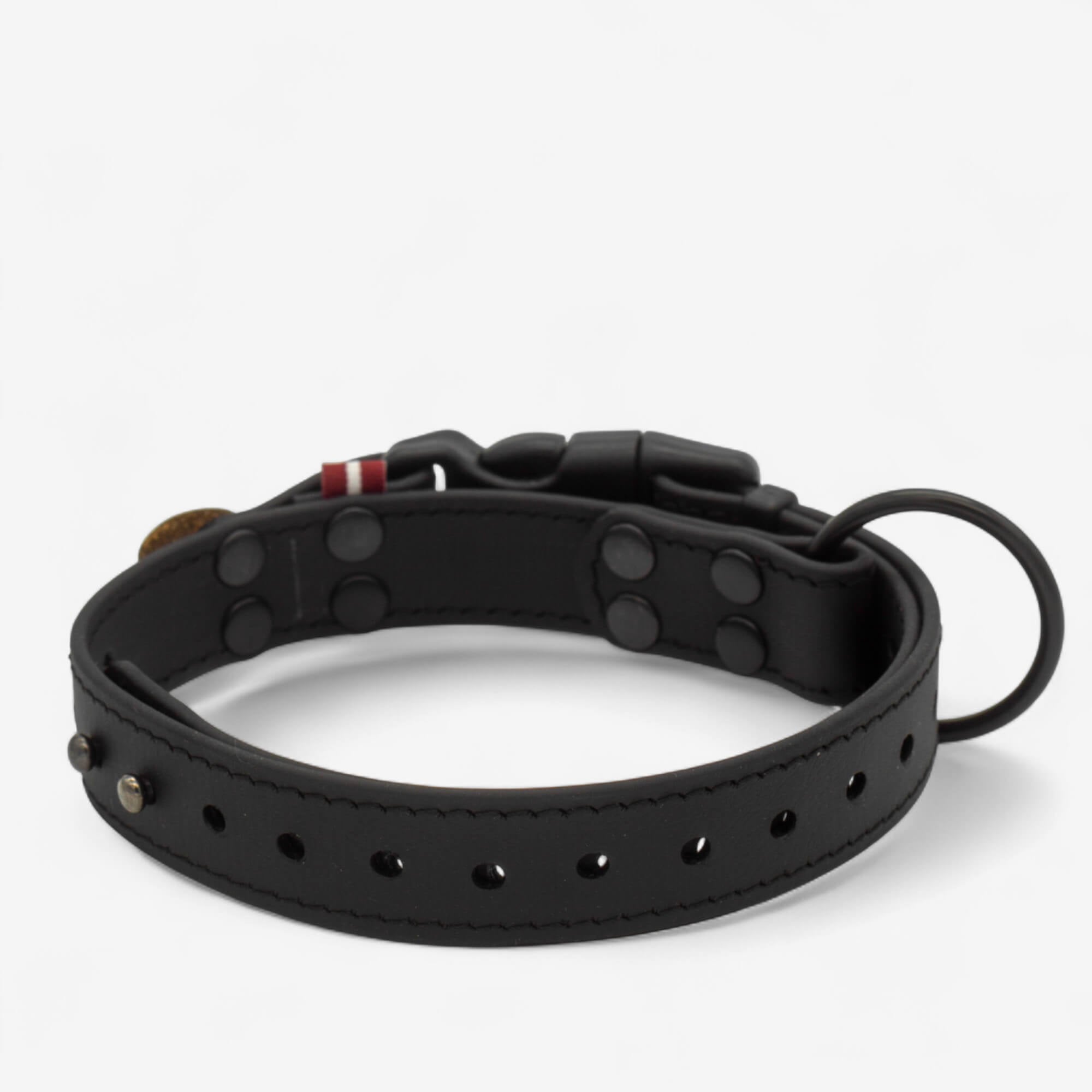 Biothane kakla siksna suņiem