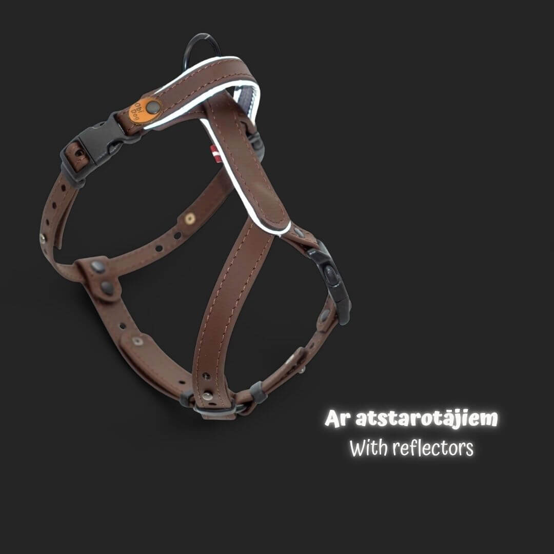 EasyFit Biothane Harness