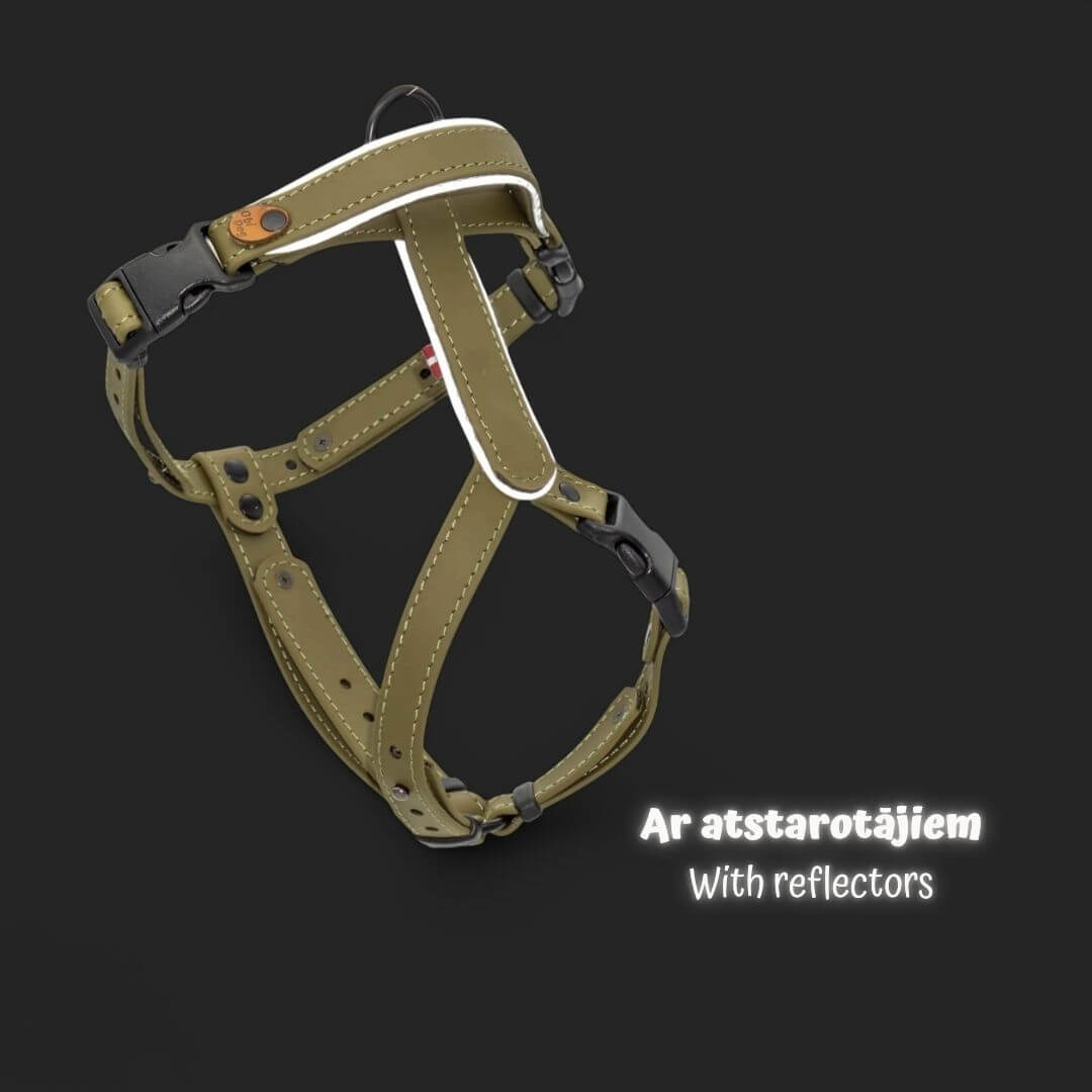 EasyFit Biothane Harness