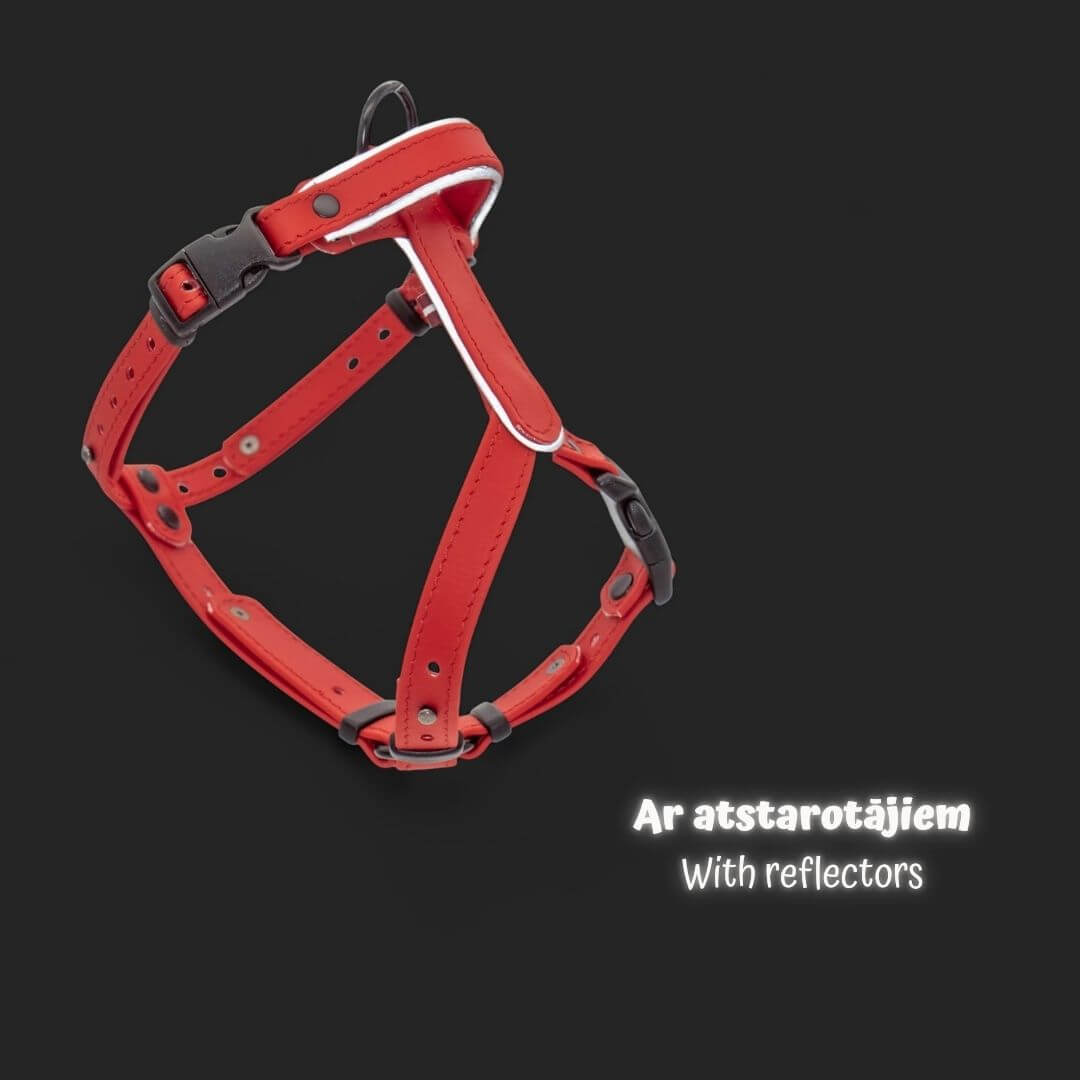 EasyFit Biothane Harness
