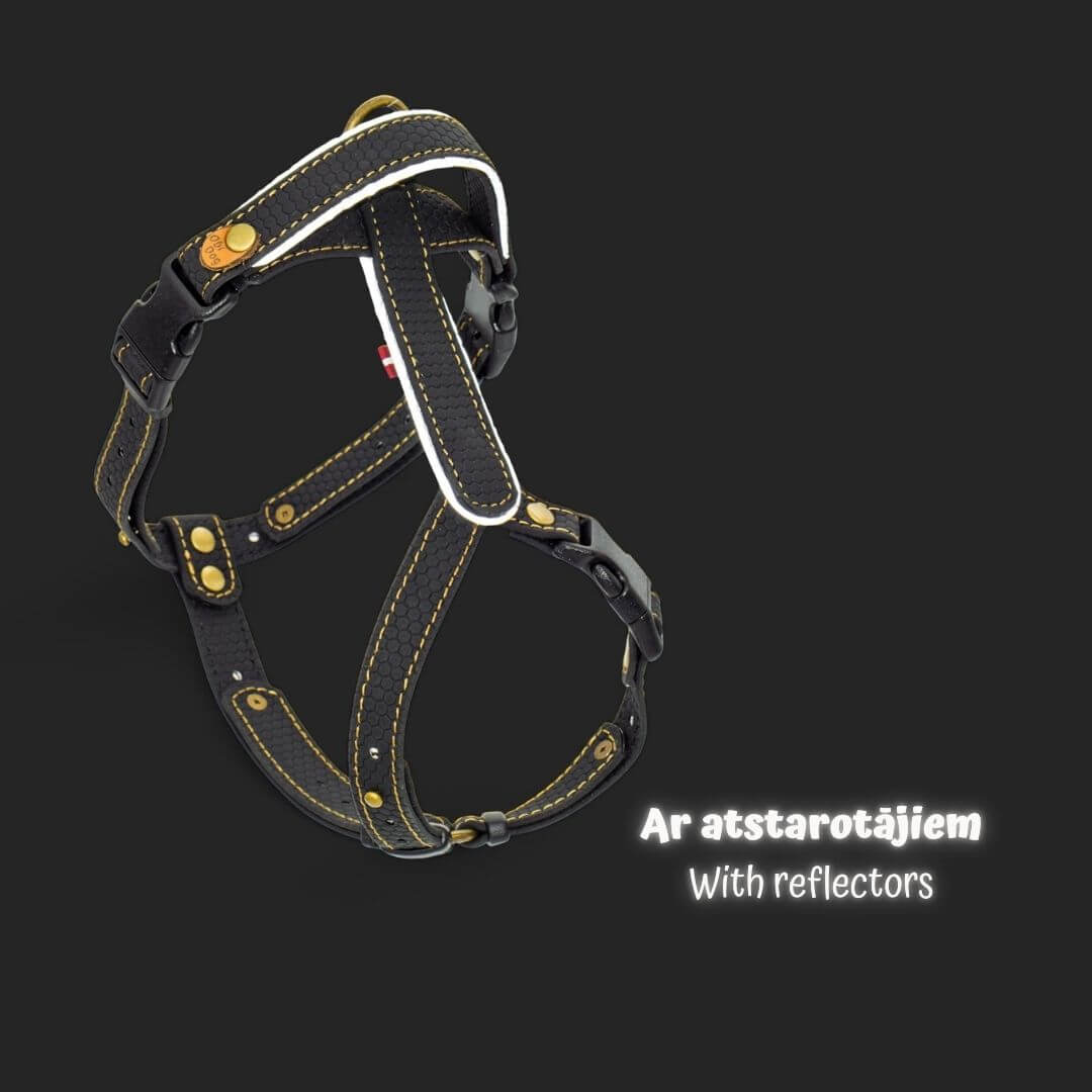 EasyFit koerarakmed – Kerged, helkuritega ja mugavad