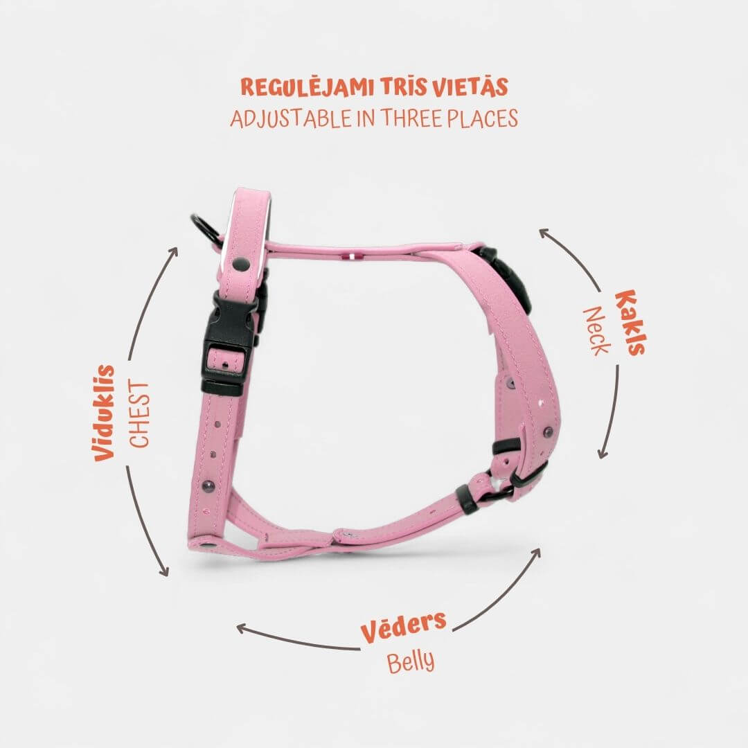 EasyFit Anatoomilised ja Veekindlad Rakmed koertele - Salatiroheline