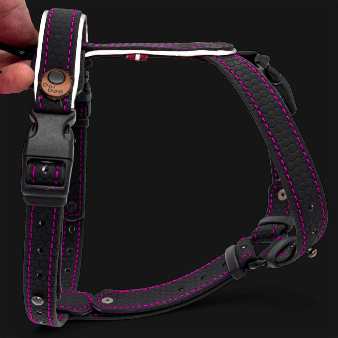 EasyFit koerarakmed – Kerged, helkuritega ja mugavad