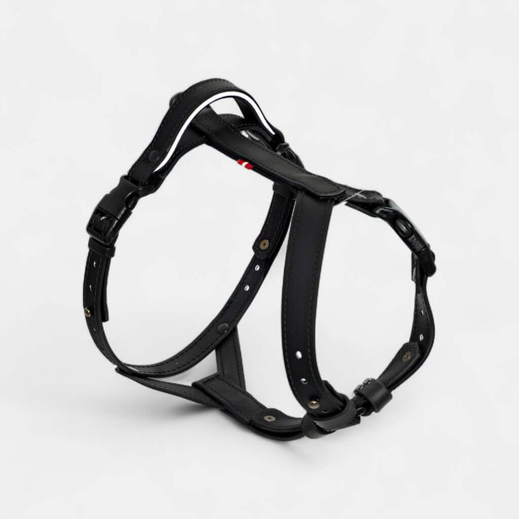 EasyFit anatomiski pareizi - ūdensdroši iemaukti suņiem - Melni