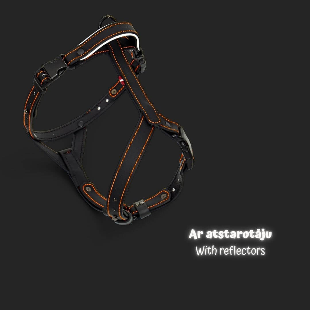 EasyFit Anatoomilised ja Veekindlad Rakmed koertele - must