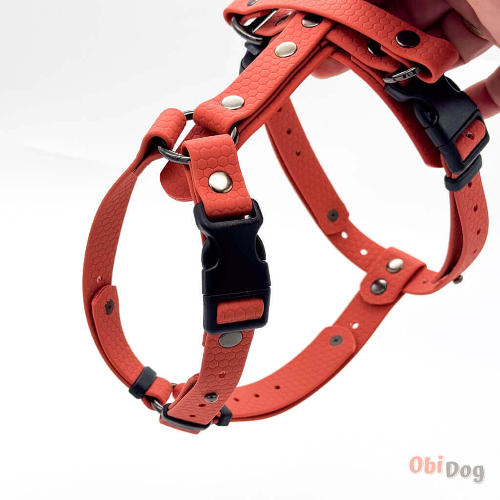 Hexa dog harness in vibrant orange, featuring water-resistant biothane material and adjustable straps.