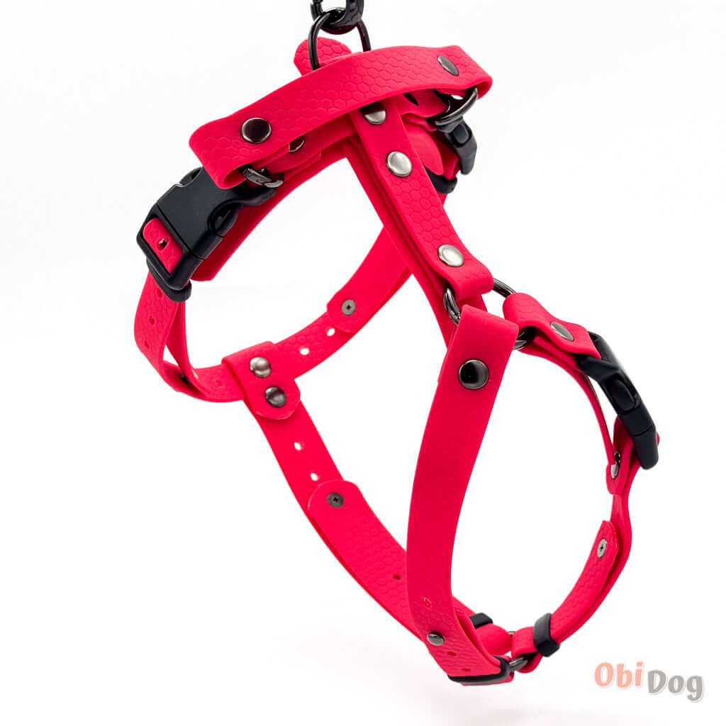 Hexa krūšu siksnas, ūdensdrošs, anatomiski pareiza dizaina suņu iemaukti, izturīgs un ērts aktīviem suņiem.