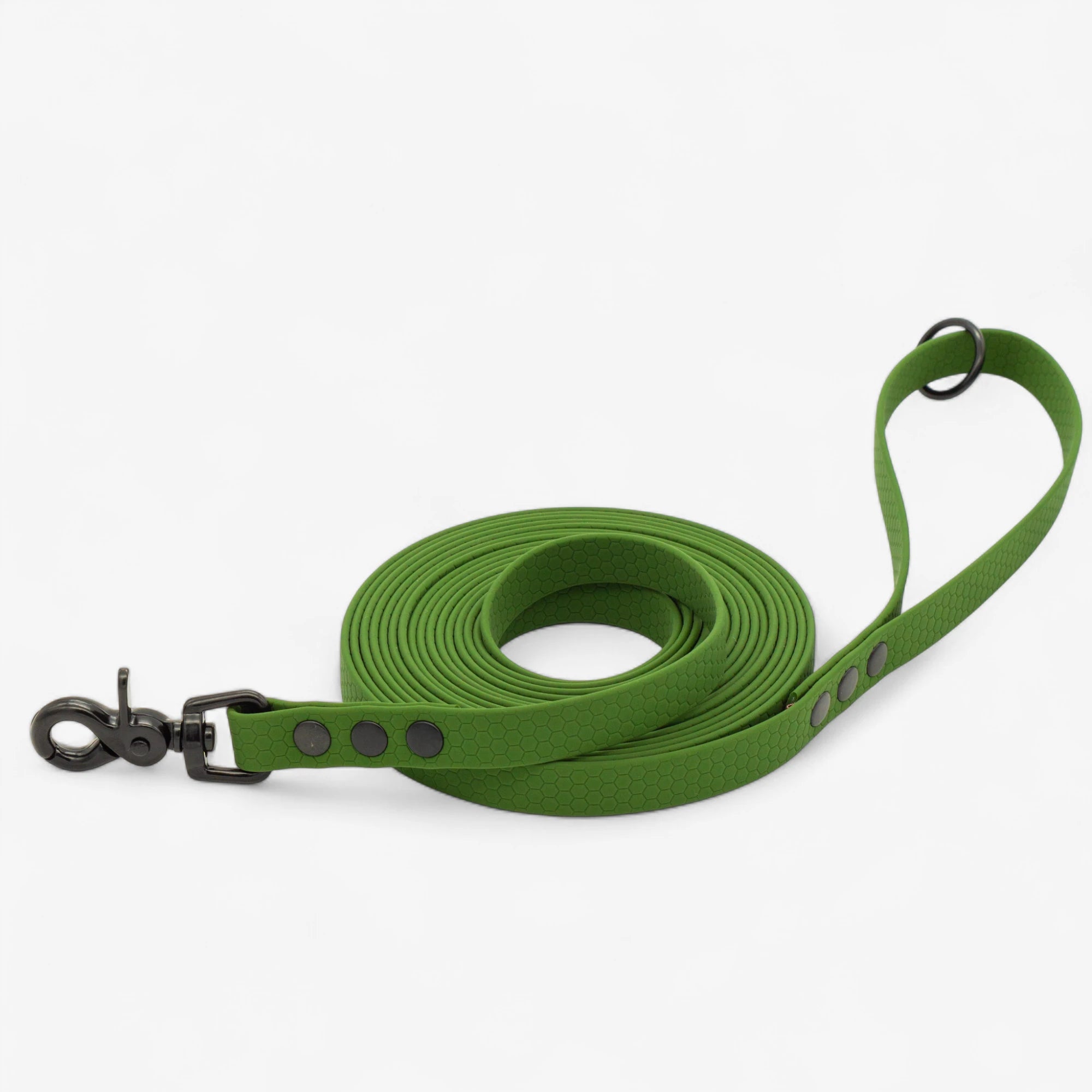 Hexa pastaigu pavada suņiem