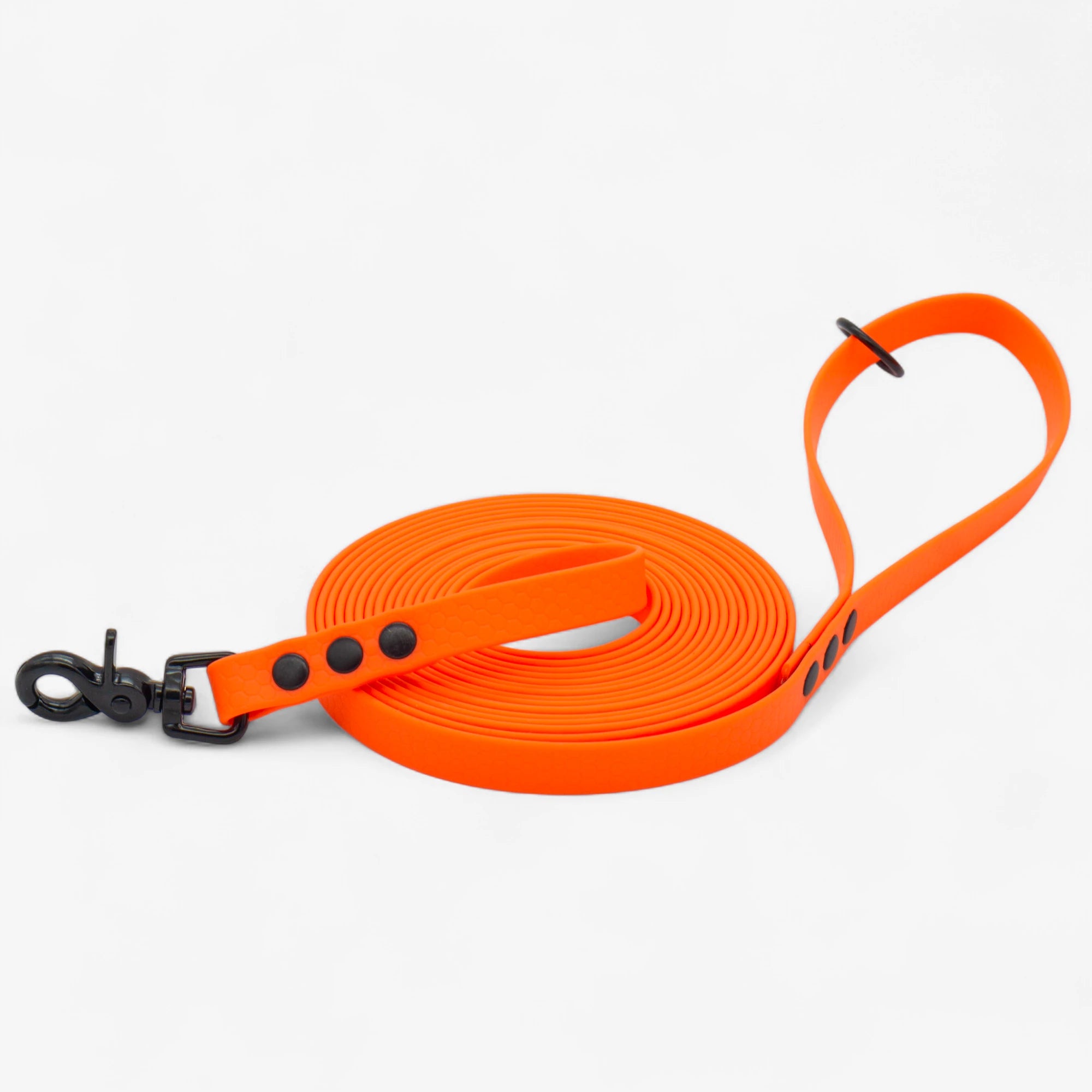 Hexa klassikaline jalutusrihm koerale