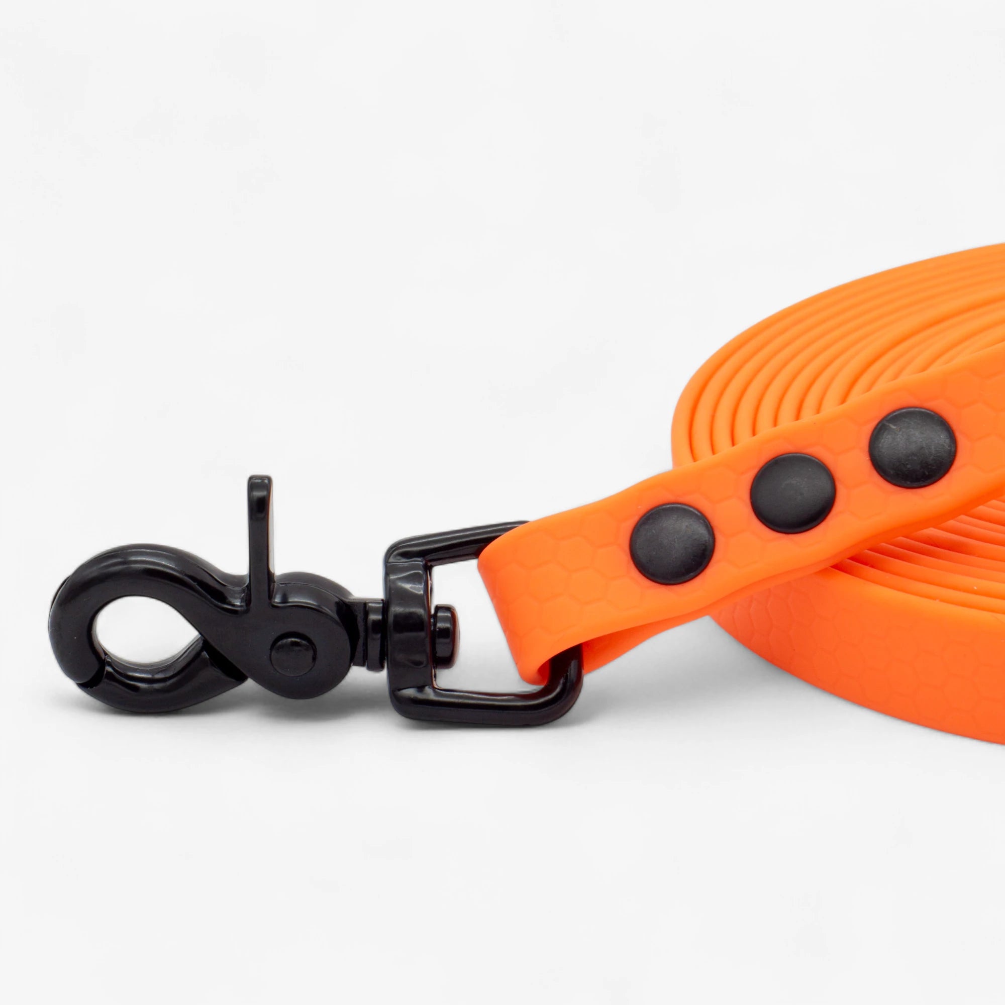 Hexa klassikaline jalutusrihm koerale