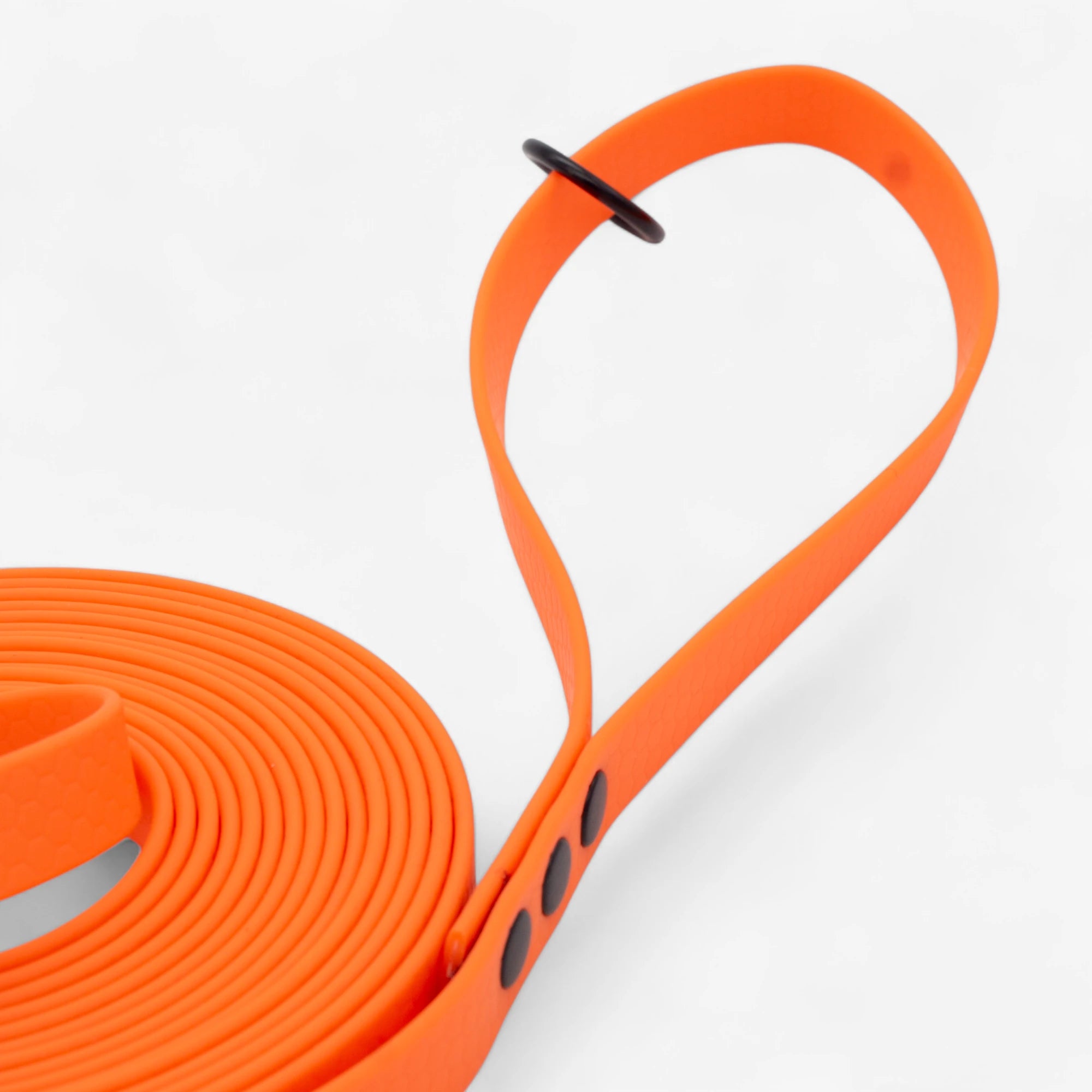 Hexa klassikaline jalutusrihm koerale