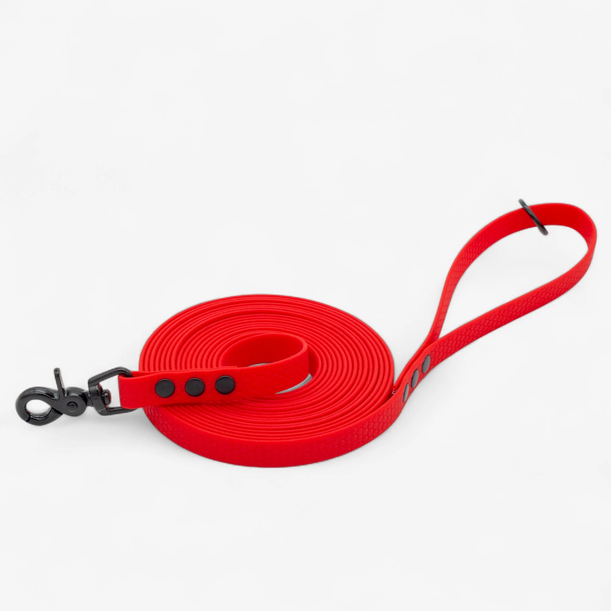 Hexa classic leash