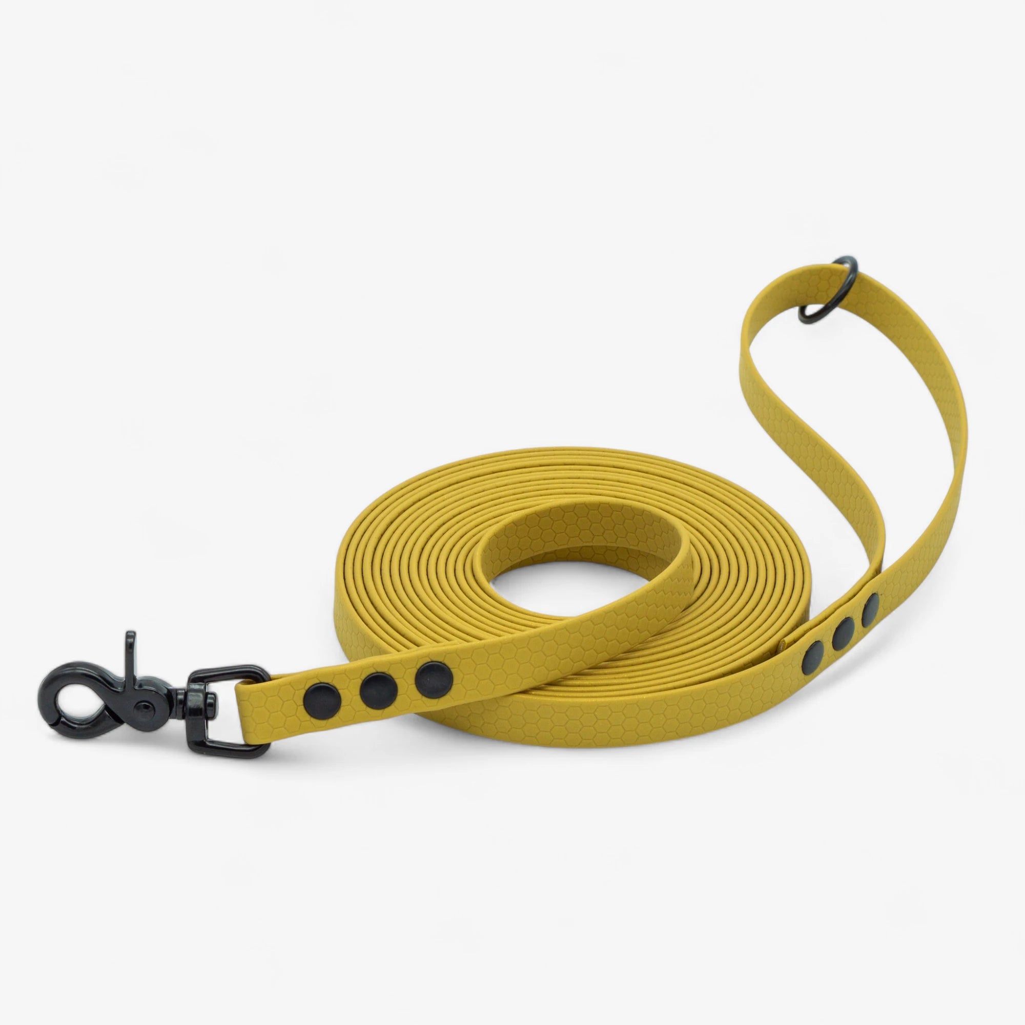 Hexa classic leash