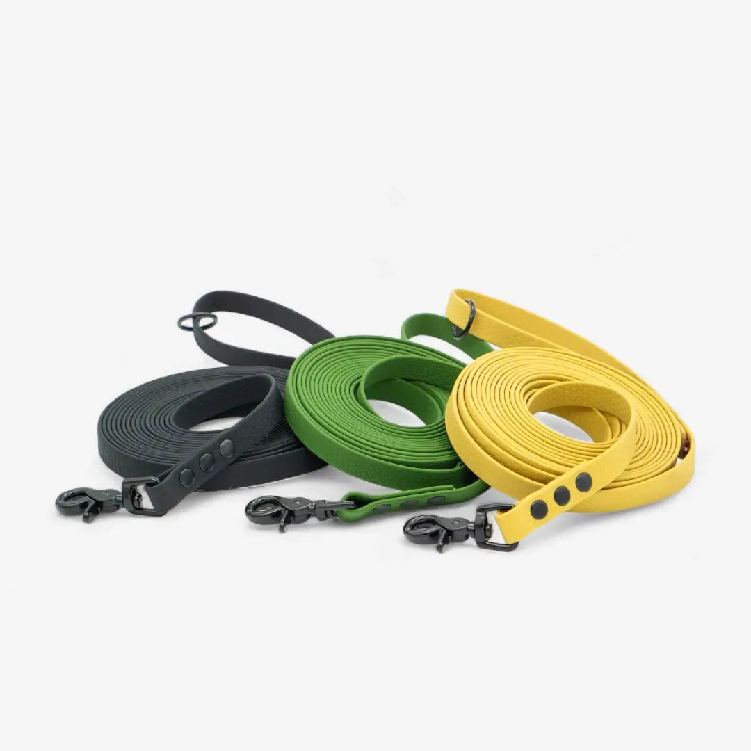 Hexa klassikaline jalutusrihm koerale