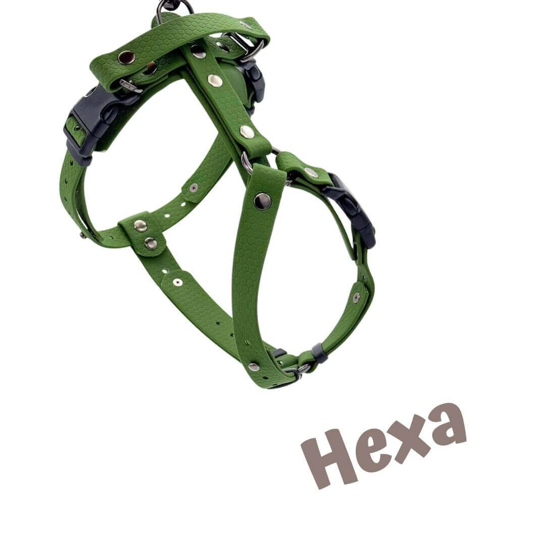 Green Hexa harness for dogs, designed for comfort and water resistance, perfect for active pets.