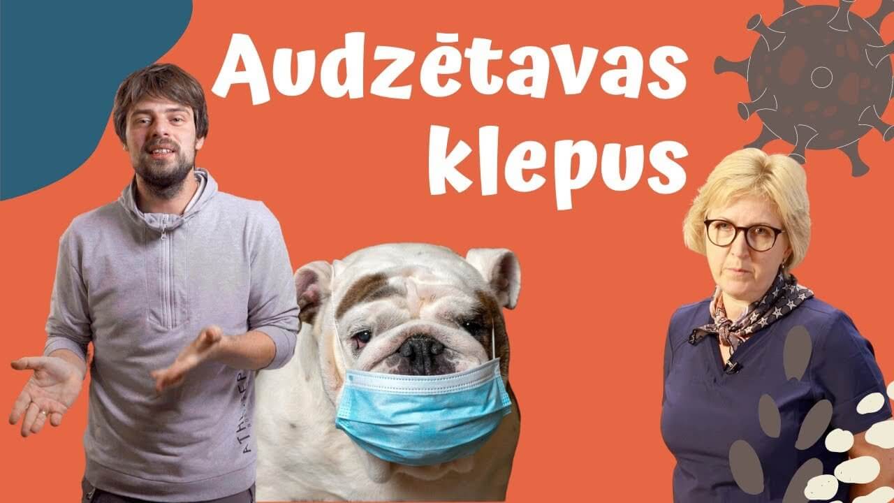 Audzētavu klepus - ObiDog