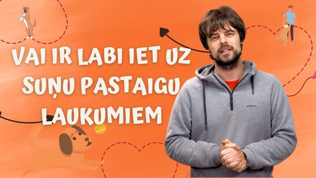 Vai ir labi savu suni vest uz suņu pastaigu laukimiem? - ObiDog