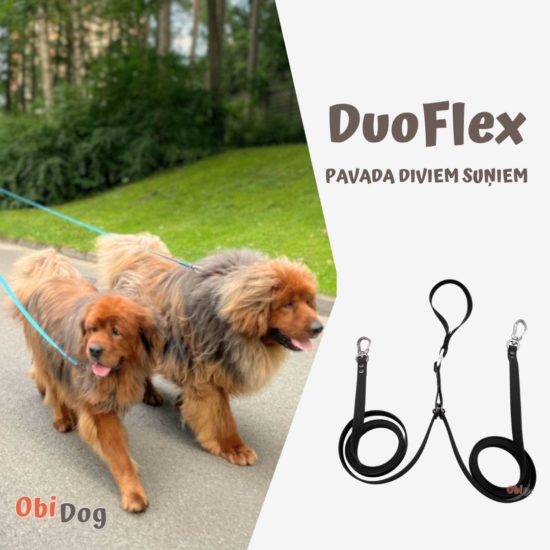 DuoFlex Hexa juhib kahte koera - Black