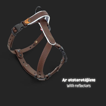 EasyFit Biothane Harness