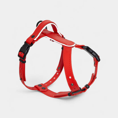EasyFit Biothane Harness