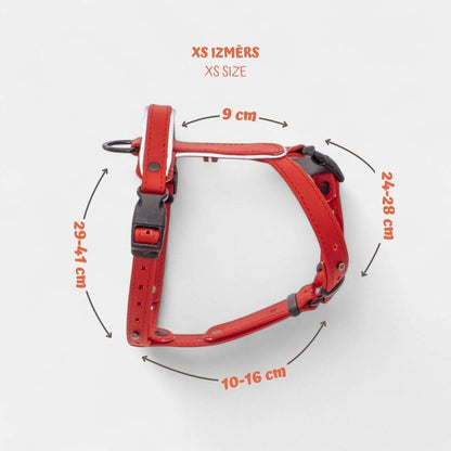 EasyFit Biothane Harness