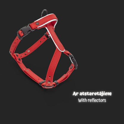 EasyFit Biothane Harness
