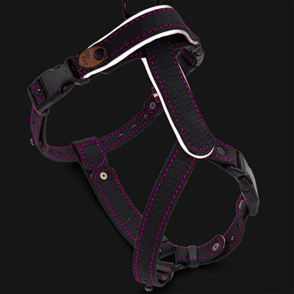 EasyFit Dog Harness – Lightweight, Reflective and Comfortable