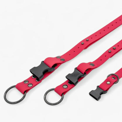 Hexa waterproof neck strap for dogs