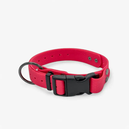 Hexa waterproof neck strap for dogs