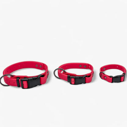 Hexa waterproof neck strap for dogs