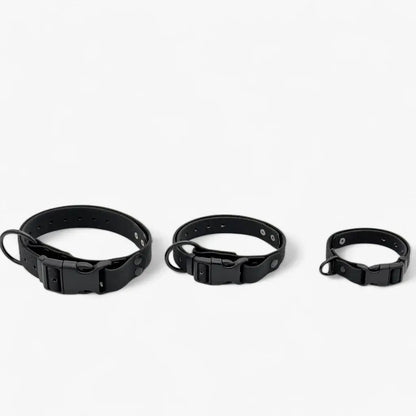 Hexa waterproof neck strap for dogs