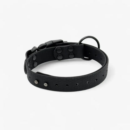 Hexa waterproof neck strap for dogs