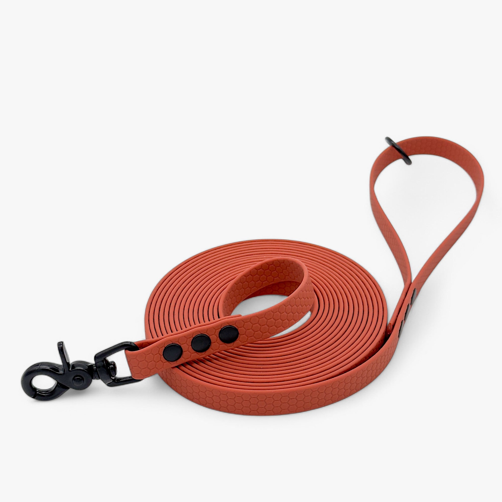 Hexa classic leash