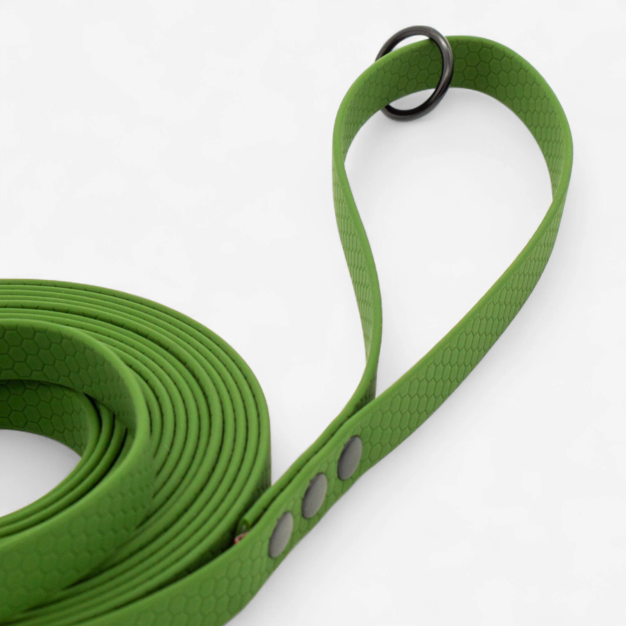 Hexa classic leash