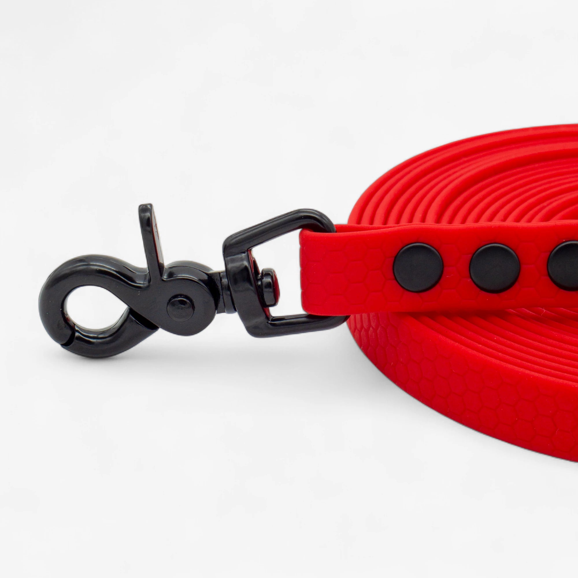 Hexa classic leash