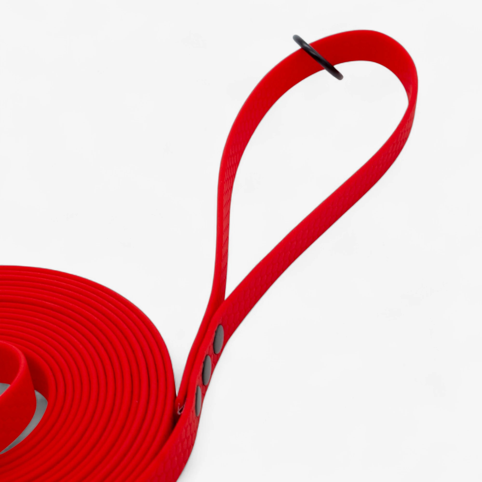 Hexa classic leash