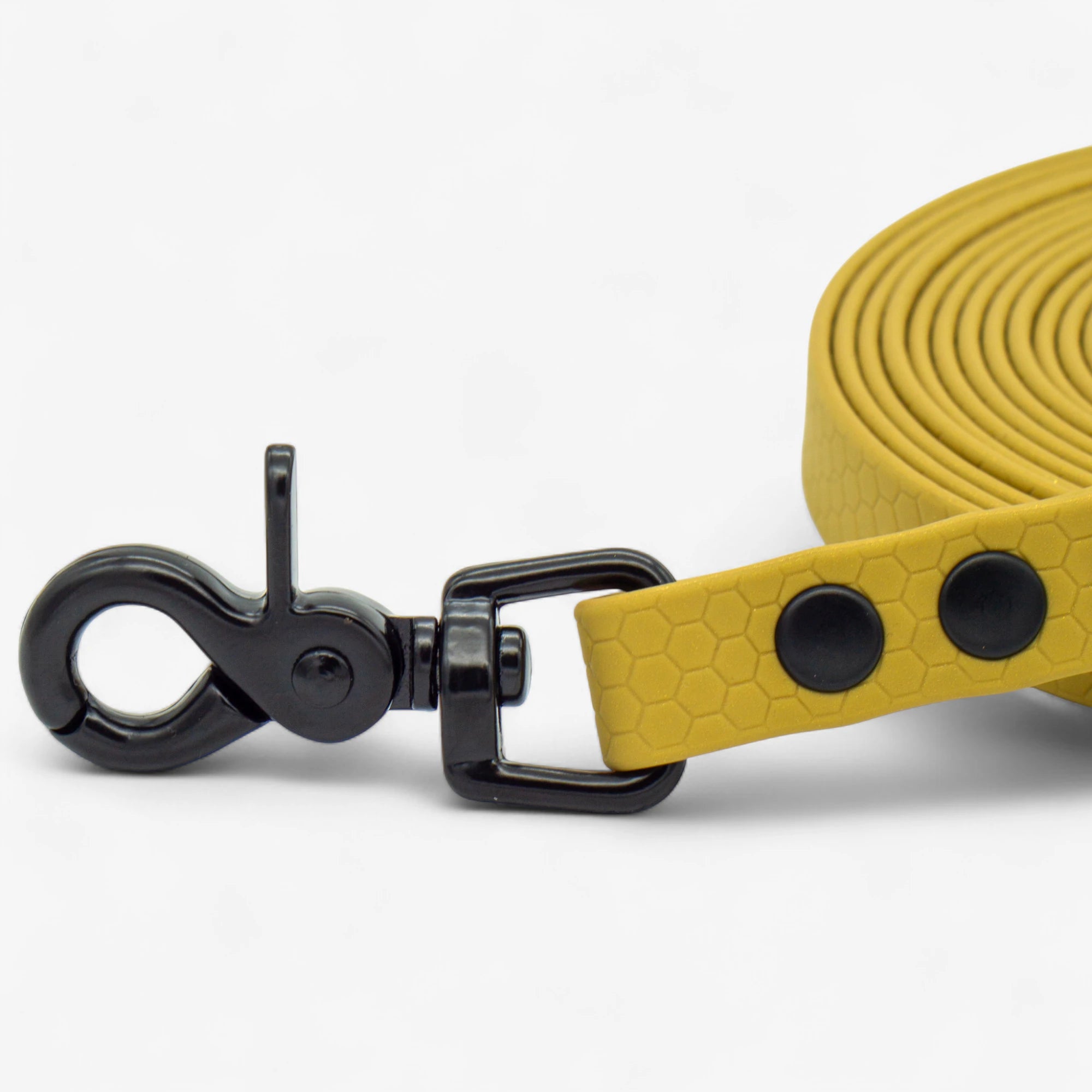 Hexa classic leash